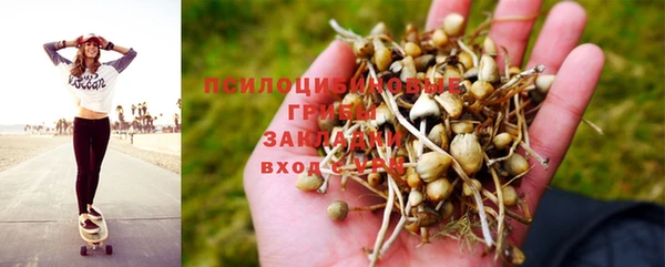 мет Балахна