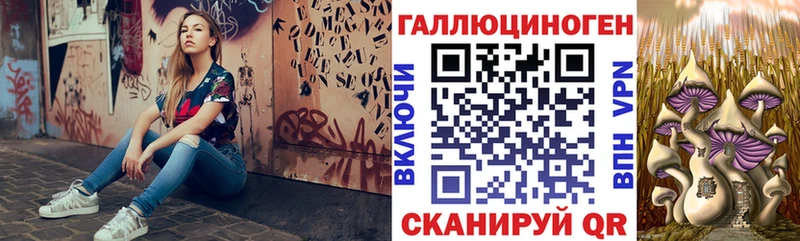 Галлюциногенные грибы Psilocybe  Иноземцево 